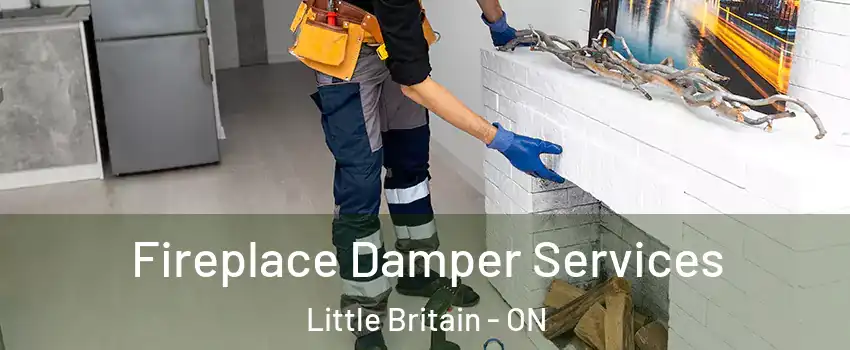 Fireplace Damper Services Little Britain - ON
