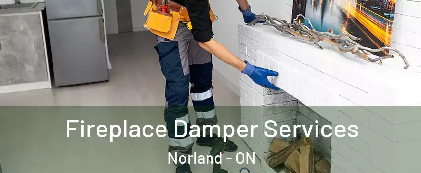  Fireplace Damper Services Norland - ON