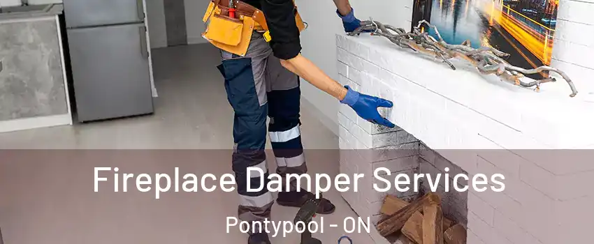  Fireplace Damper Services Pontypool - ON