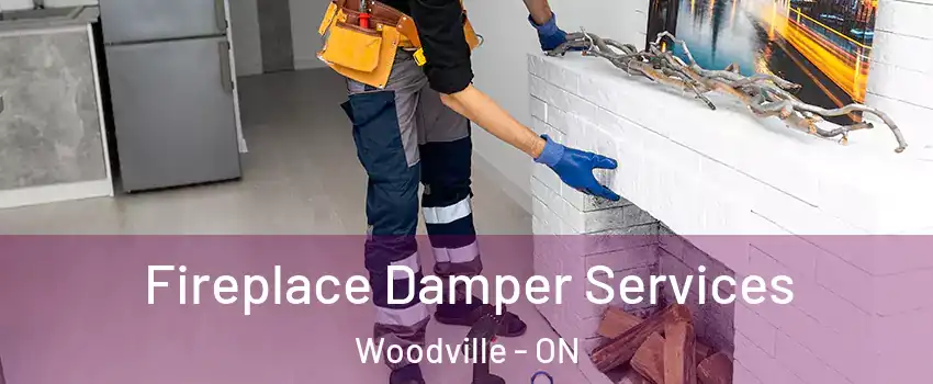  Fireplace Damper Services Woodville - ON
