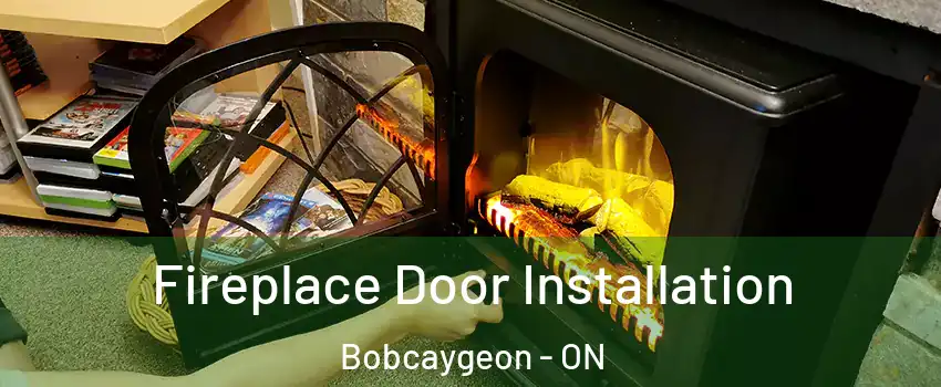  Fireplace Door Installation Bobcaygeon - ON