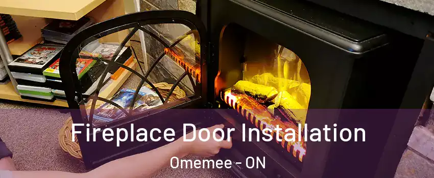  Fireplace Door Installation Omemee - ON