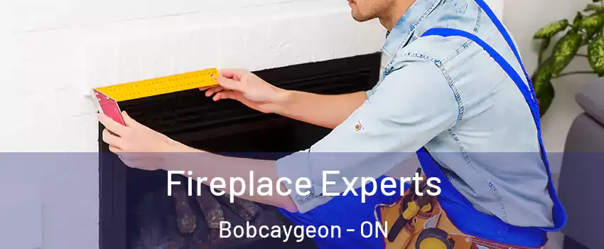  Fireplace Experts Bobcaygeon - ON