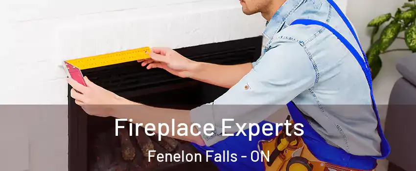  Fireplace Experts Fenelon Falls - ON