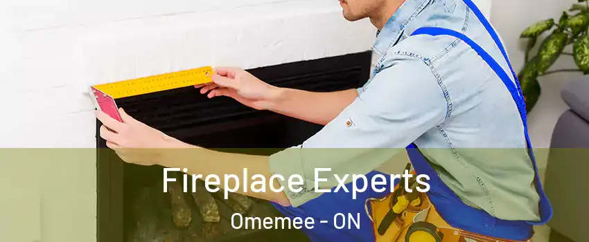  Fireplace Experts Omemee - ON