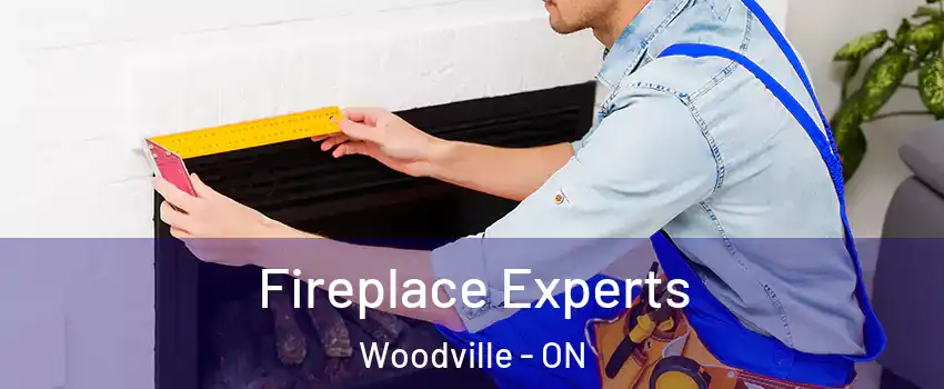  Fireplace Experts Woodville - ON
