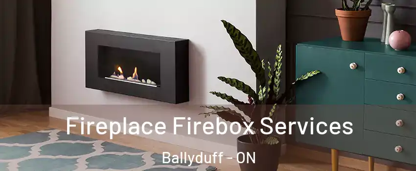  Fireplace Firebox Services Ballyduff - ON