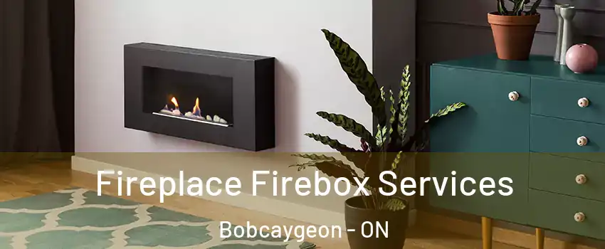  Fireplace Firebox Services Bobcaygeon - ON