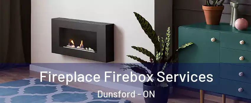  Fireplace Firebox Services Dunsford - ON