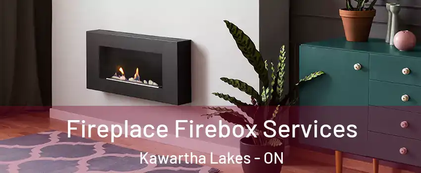  Fireplace Firebox Services Kawartha Lakes - ON