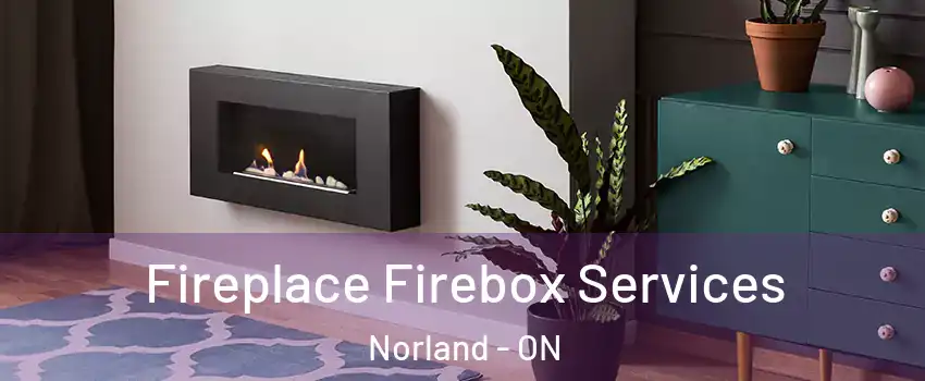  Fireplace Firebox Services Norland - ON