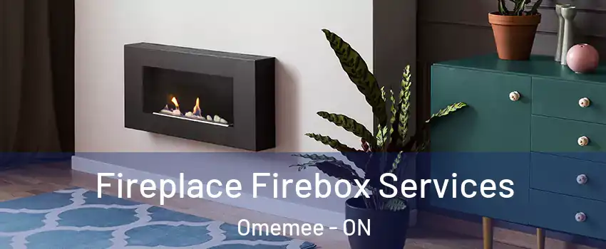  Fireplace Firebox Services Omemee - ON