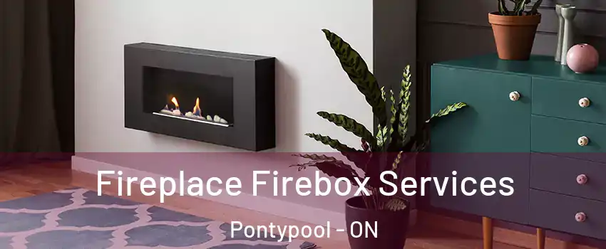  Fireplace Firebox Services Pontypool - ON