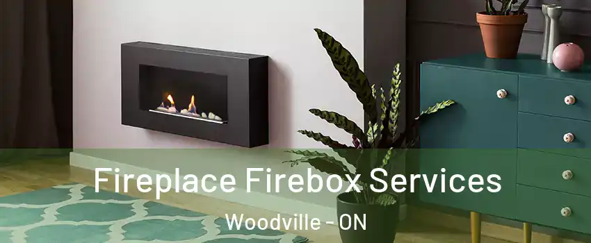  Fireplace Firebox Services Woodville - ON
