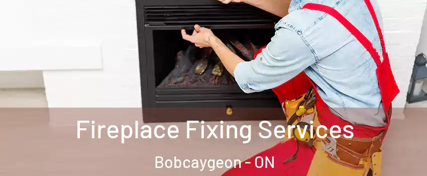  Fireplace Fixing Services Bobcaygeon - ON