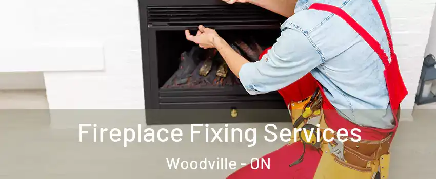  Fireplace Fixing Services Woodville - ON