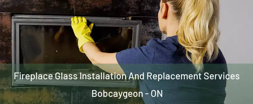  Fireplace Glass Installation And Replacement Services Bobcaygeon - ON