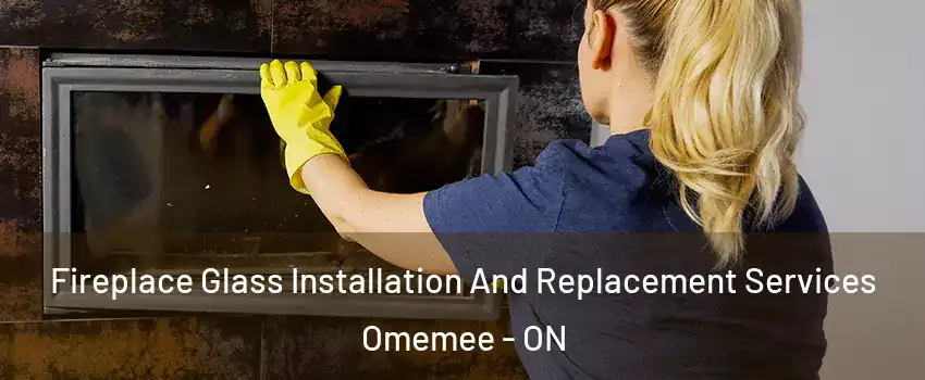  Fireplace Glass Installation And Replacement Services Omemee - ON