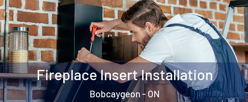  Fireplace Insert Installation Bobcaygeon - ON