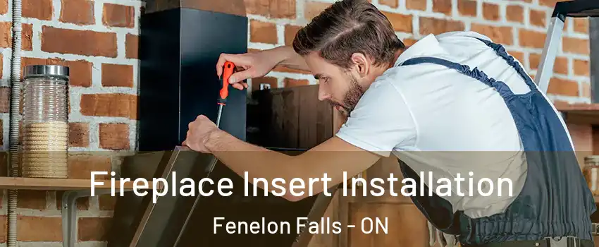  Fireplace Insert Installation Fenelon Falls - ON
