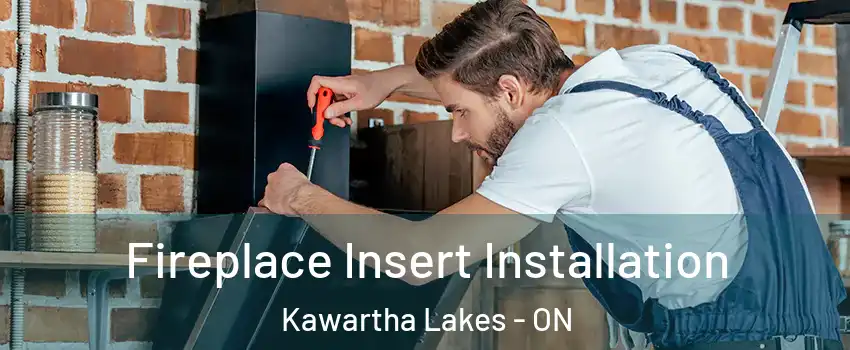  Fireplace Insert Installation Kawartha Lakes - ON