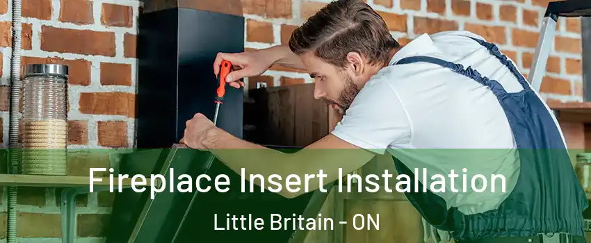  Fireplace Insert Installation Little Britain - ON
