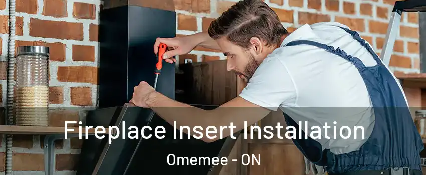  Fireplace Insert Installation Omemee - ON