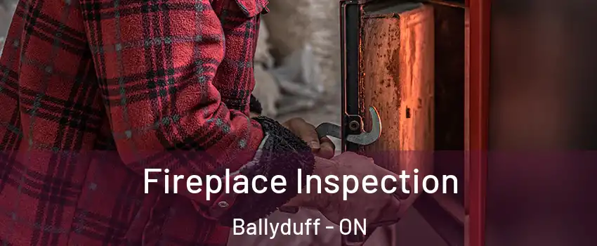  Fireplace Inspection Ballyduff - ON