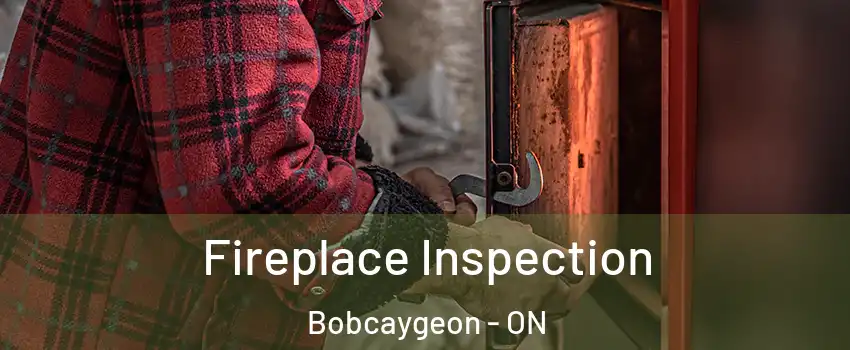  Fireplace Inspection Bobcaygeon - ON