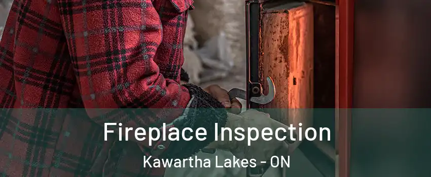  Fireplace Inspection Kawartha Lakes - ON