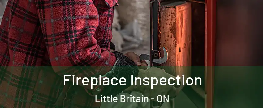 Fireplace Inspection Little Britain - ON