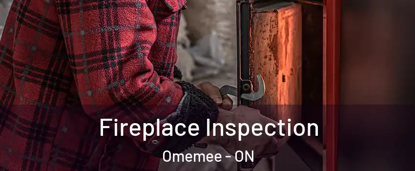  Fireplace Inspection Omemee - ON
