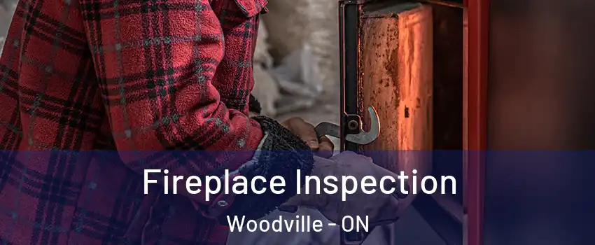 Fireplace Inspection Woodville - ON