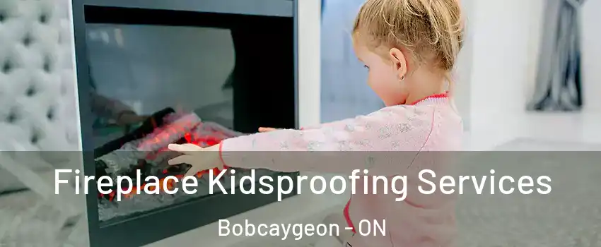  Fireplace Kidsproofing Services Bobcaygeon - ON