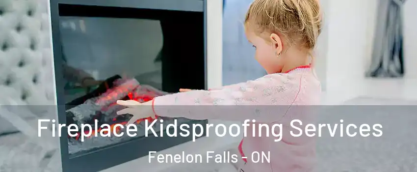  Fireplace Kidsproofing Services Fenelon Falls - ON
