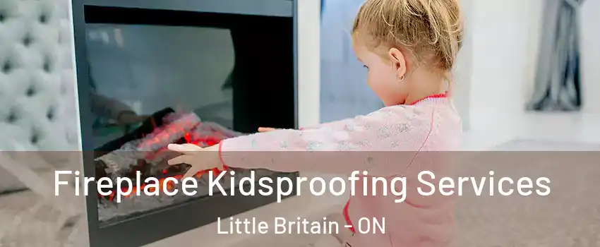  Fireplace Kidsproofing Services Little Britain - ON
