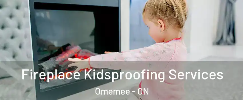  Fireplace Kidsproofing Services Omemee - ON