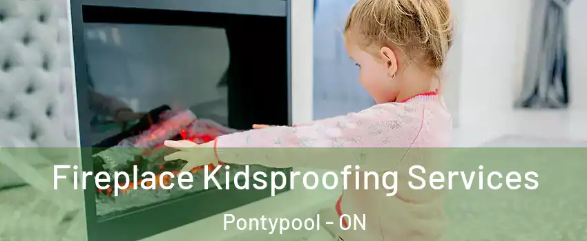  Fireplace Kidsproofing Services Pontypool - ON