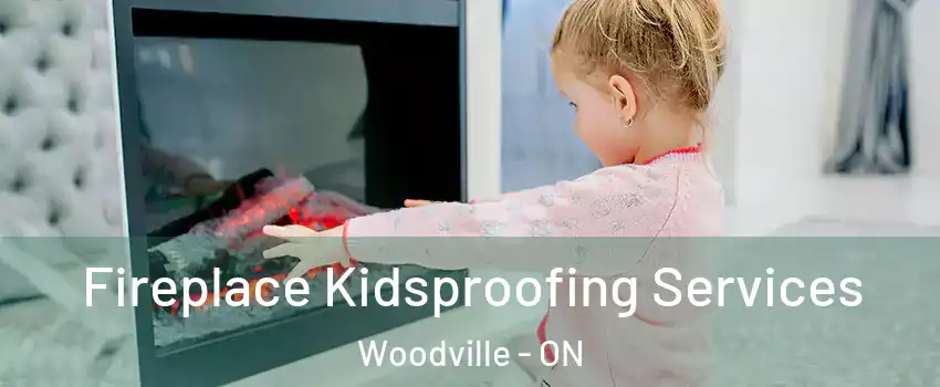  Fireplace Kidsproofing Services Woodville - ON