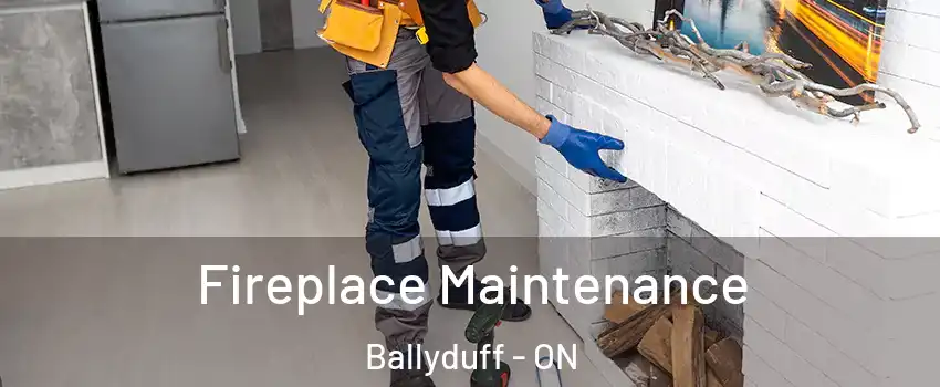  Fireplace Maintenance Ballyduff - ON