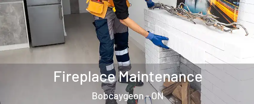  Fireplace Maintenance Bobcaygeon - ON