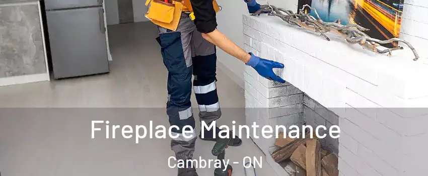  Fireplace Maintenance Cambray - ON
