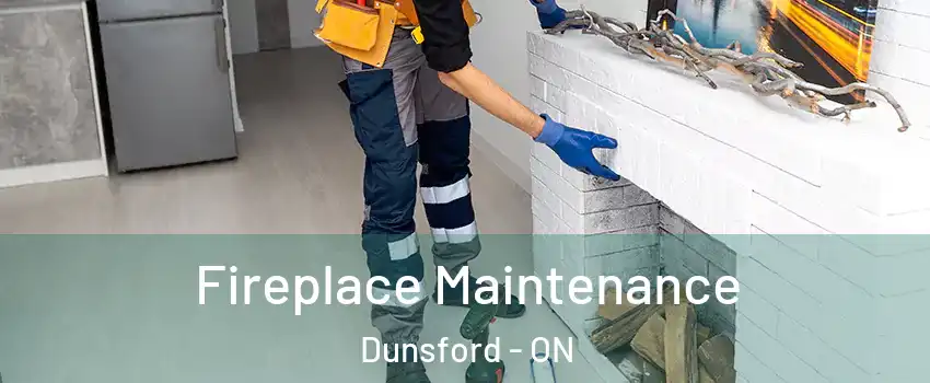  Fireplace Maintenance Dunsford - ON