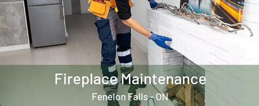  Fireplace Maintenance Fenelon Falls - ON