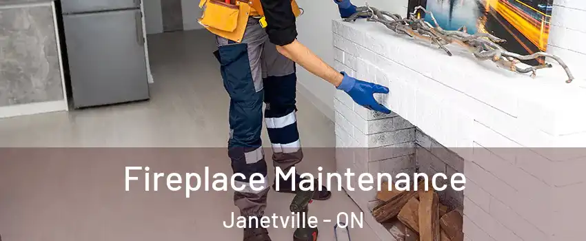  Fireplace Maintenance Janetville - ON