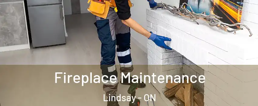  Fireplace Maintenance Lindsay - ON