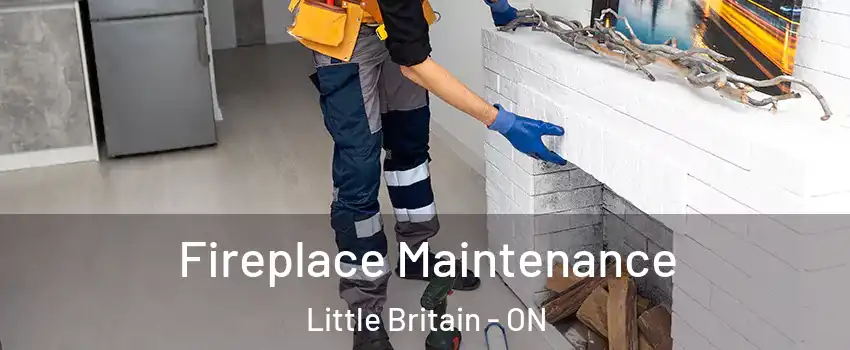  Fireplace Maintenance Little Britain - ON