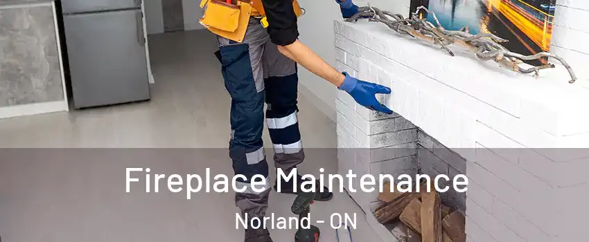  Fireplace Maintenance Norland - ON