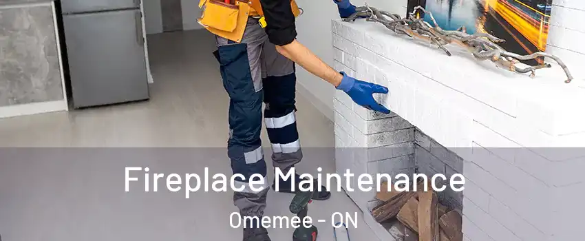  Fireplace Maintenance Omemee - ON