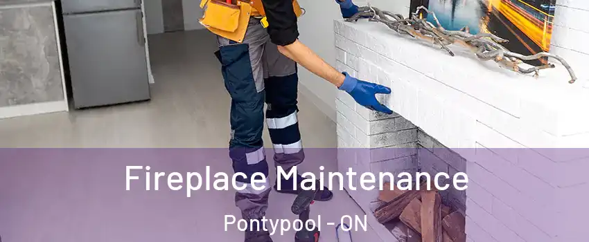  Fireplace Maintenance Pontypool - ON
